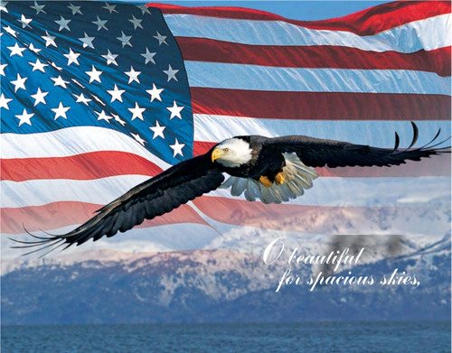 Image result for America the beautiful