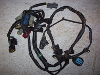 Wiring Harness 2005 Honda TRX450R