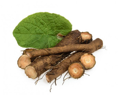 Burdock Root and Leaf