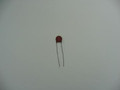 Capacitor .01 500 Volts Z5U Erie