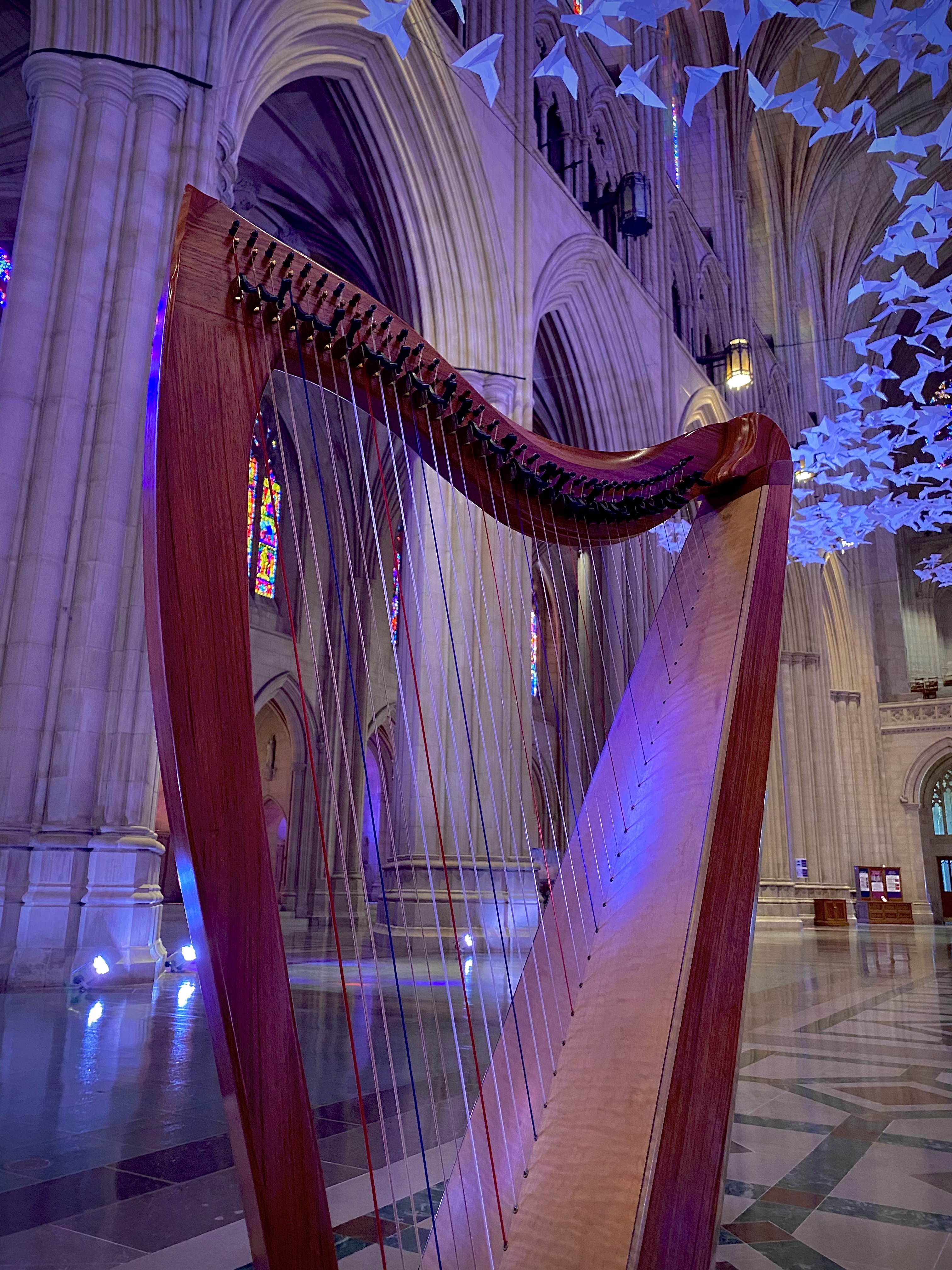 dusty-strings-at-the-national-cathedral-from-kara-welch.jpg