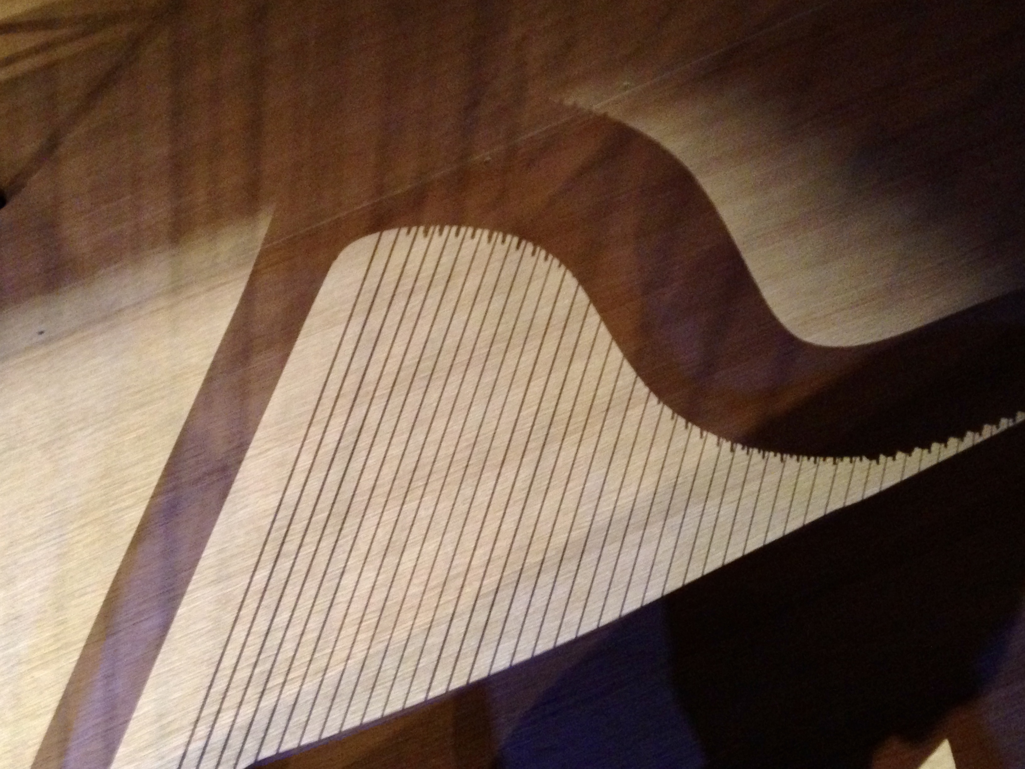 harp-shadow-lynn-photographer-.jpg
