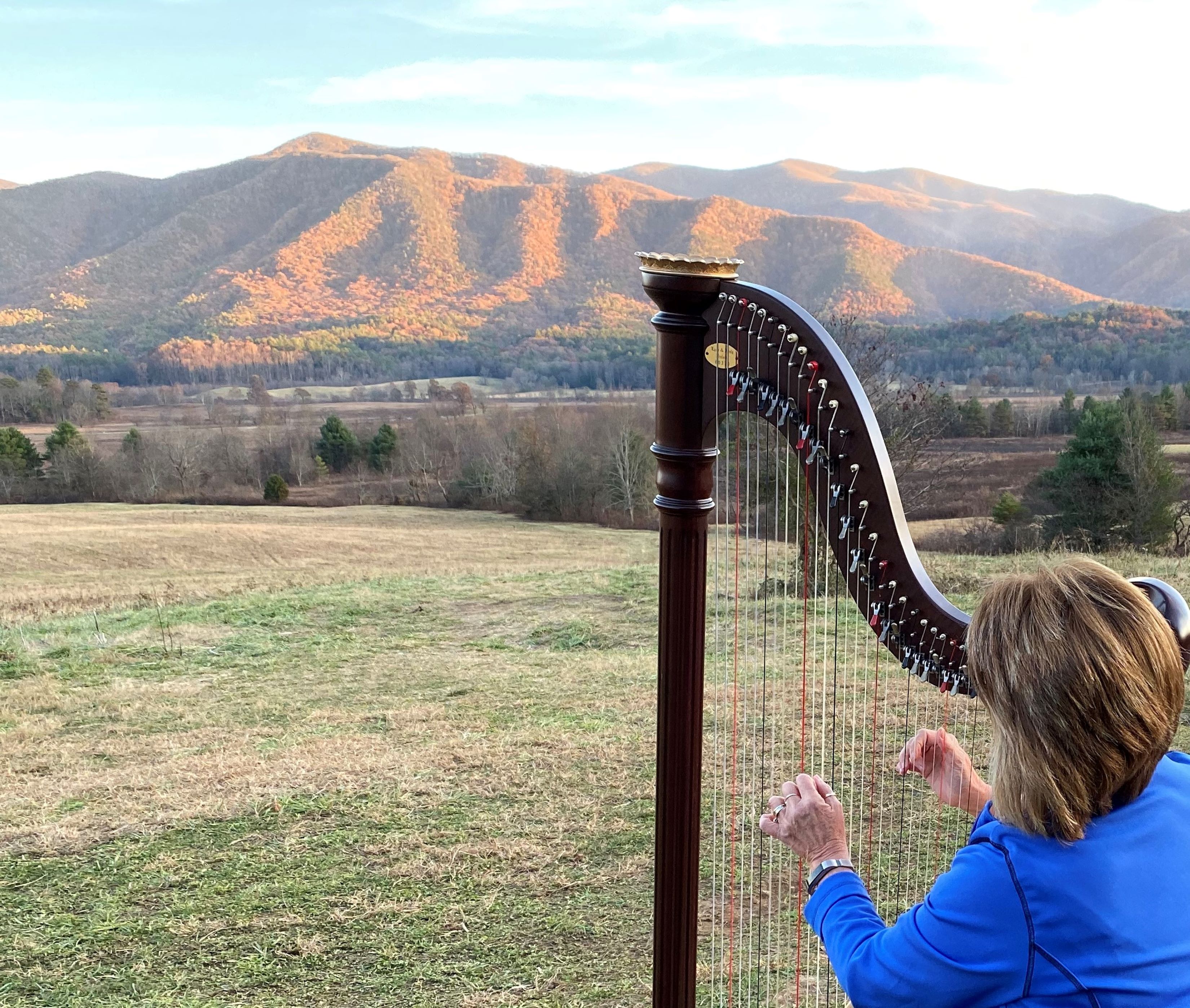 mountain-harp-from-lela-moore.jpg