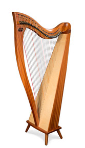 lyon healy harp transport cover craigslist