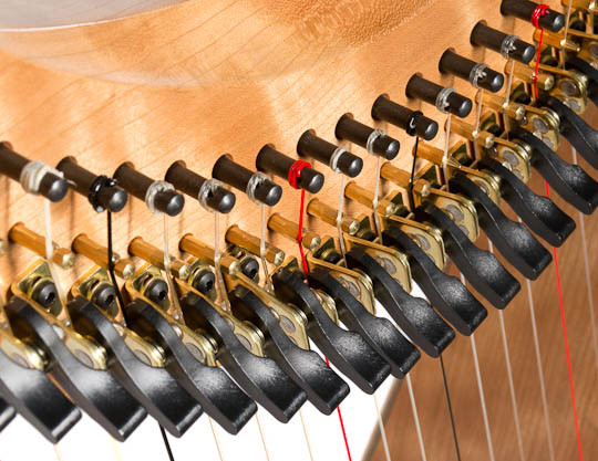 Dusty Strings FH26 Available to order