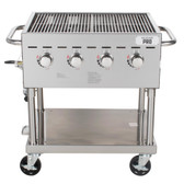Stainless Steel Outdoor Grill-Backyard Grill Pro 30"