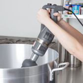 Robot Coupe CMP250 Combi Compact Immersion Blender with Whisk - 120V