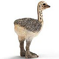 Ostrich Chick