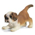 St. Bernard Puppy Playing