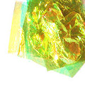 Dandelion Fantasy Film