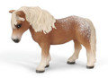 Falabella Mare