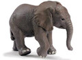 African Elephant Calf