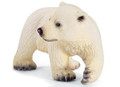 Polar Bear Cub