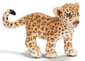 Leopard Cub