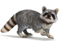 Raccoon