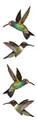 Sticker Strip - Hummingbirds (photoessence)