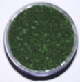 Flower Soft - Christmas Green