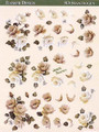 3-D Pre-Cut Peach Roses