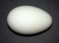 Goose Egg - Large