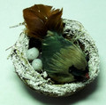 Bird on Nest - Brown - Small