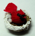 Bird on Nest - Red - Small