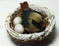 Bird on Nest - Brown - Large
