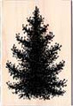 Rubber Stamp (wood mount) - Pine Tree