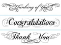 Phrases Embossing Folders - 3 Pack