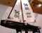 Dragon Force RG65 RTR with RG65 class sail numbers on custom aftermarket sails