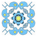 #216 All-Around Winter Sports