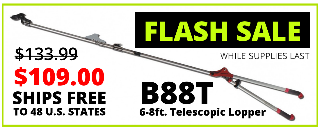 b88t-flashsale2.png