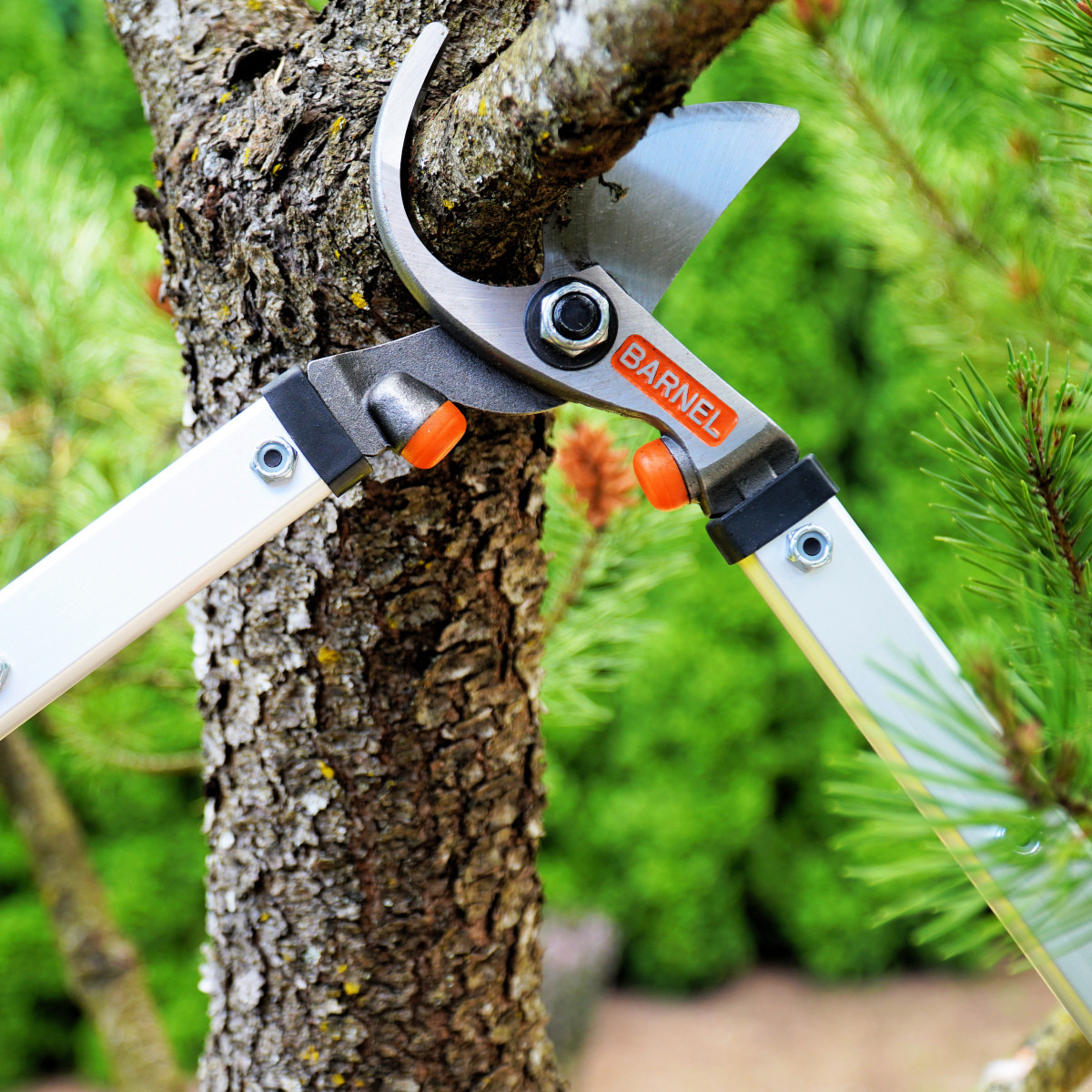 Barnel® H24A Lopper, Horticultural 24.5" (62 cm) Double Bumper ByPass PNE Tools