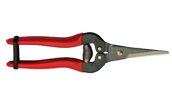 ARS Needlenose Pruners