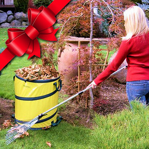 Fall Combo: Spring bucket, adjustable rake, and hand sweeper!