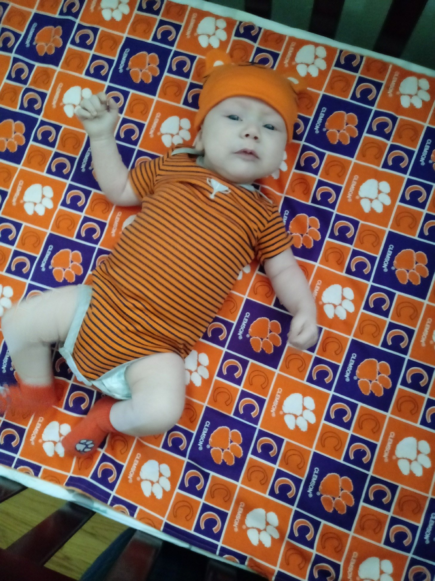 clemson-minky.jpg