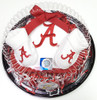 Alabama Crimson Tide Piece of Cake Baby Gift Set