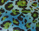 Iridescent Leopard Blue