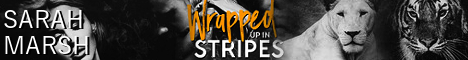 wrappedstripesbanner.jpg