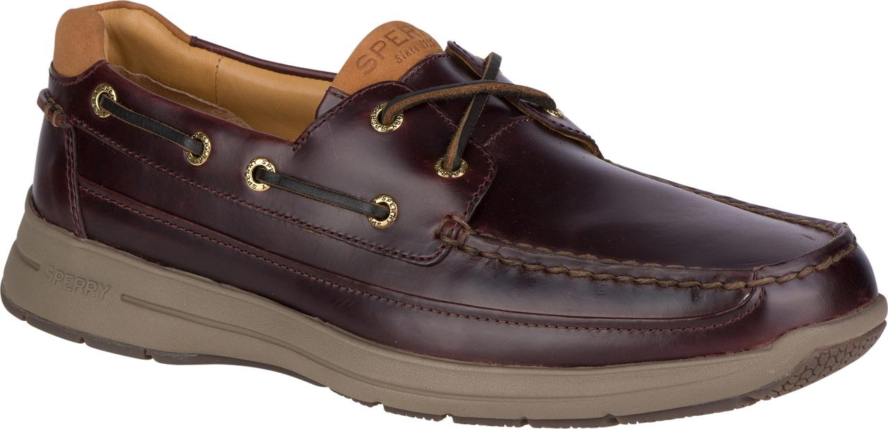 sperry one eye gold cup