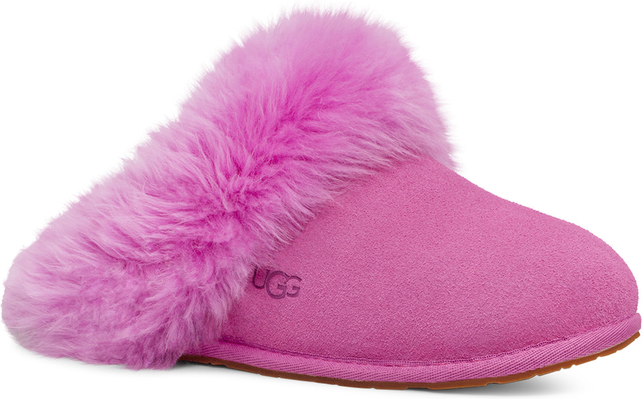 Ugg scuffette best sale wild berry