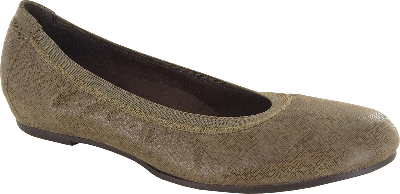 munro american ashlie