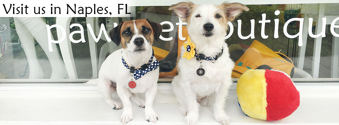 Paws Pet Boutique Naples Dog Shop Unique Dog Collars
