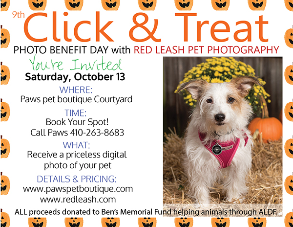 Paws Pet Boutique Dog Friendly Events Annapolis Naples Dog Images, Photos, Reviews