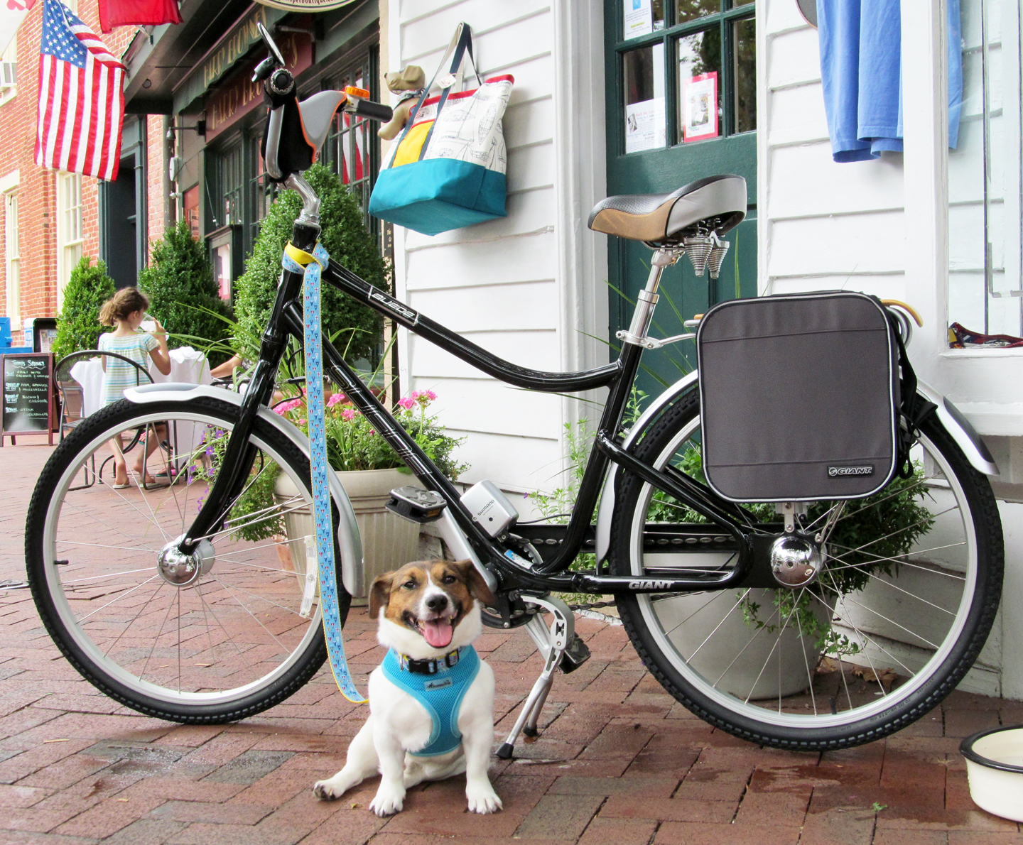 Dick Smothers raffles his bike for to benefit the animals