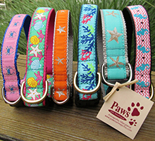 beach dog collars