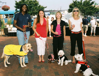 Paws pet boutique models for CN8 Morning Show