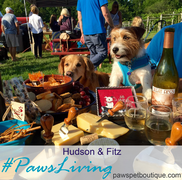Hudson & Fitz #Pawsliving at Wag & Wine thanks to Victoria