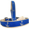 Gold Anchors on Blue Dog Collar Made in USA