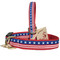 Stars and Stripes All American Dog Collar