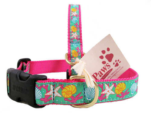 The Perfect Dog Collar for your Beach Dog!
